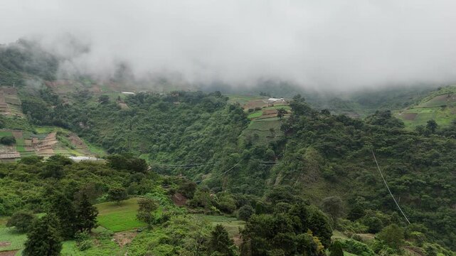 Drone flies forward over cultivated mountain slopes and green farmland covered by low clouds and fog in Zunil, Quetzaltenango, Guatemala.