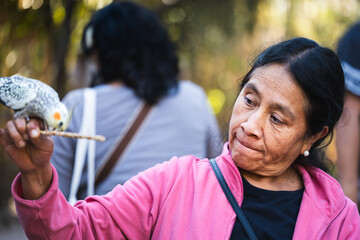 Portrait of a cheerful woman in a pink fleece jacket feeding a bird © AndreaGabriela
