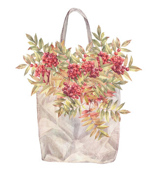 Watercolor autumn bouquet with branch ashberry with leaves and red berry in bag isolated on white background. Forest nature plant with foliage. Clipart with rowan for card or wallpaper and wrapping
