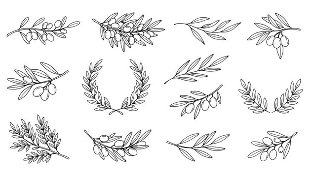 Black and white hand-drawn olive branches and wreaths vector set