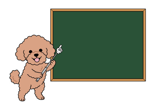 Cute toy poodle holding a pointer stick and showing a blank blackboard, education and presentation concept, character illustration