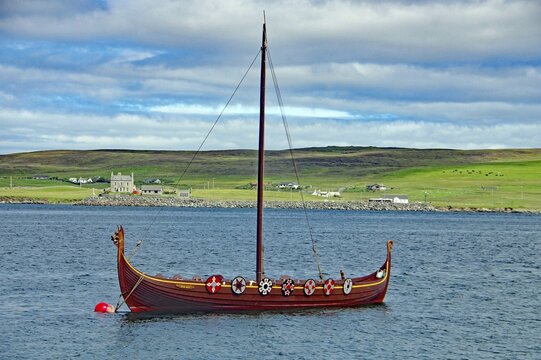 A traditional Viking boat with shields on the calm water, overlooking a green coastline and hills in the background, Up Helly A, Lerwick, Shetland Islands, Scotland, United Kingdom