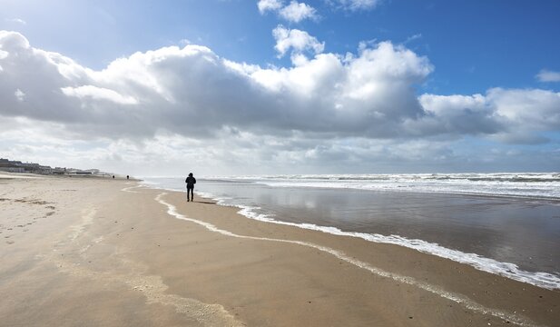Young man walking on beach, North Sea, Zandvoort aan Zee, North Holland, Holland, Netherlands