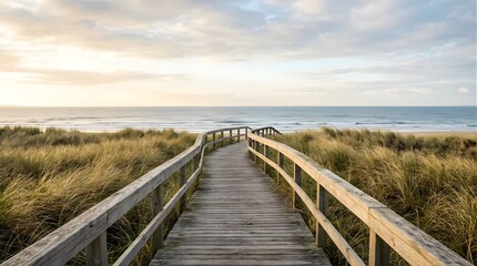 Obraz premium Wooden boardwalk leading through grassy dunes to the ocean beach at sunset