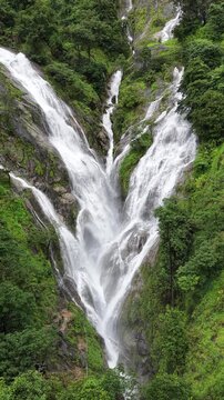 Aerial view of dense forest shrouded in morning mist, with fog weaving through trees and rolling hills. Vibrant green foliage contrasts with soft white clouds