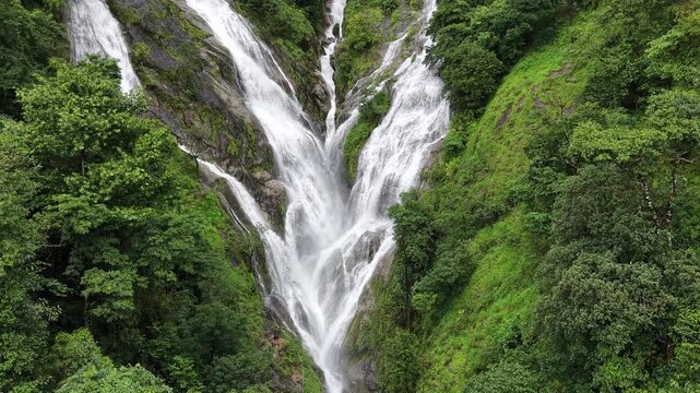 Aerial view of dense forest shrouded in morning mist, with fog weaving through trees and rolling hills. Vibrant green foliage contrasts with soft white clouds