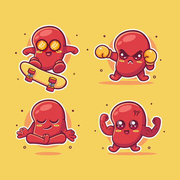 kawaii kidney organ characters  illustration set featuring skateboarding kickflip, boxing sport, yoga meditation, and flexing muscles.