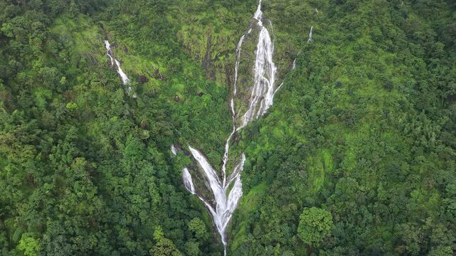 Aerial view of dense forest shrouded in morning mist, with fog weaving through trees and rolling hills. Vibrant green foliage contrasts with soft white clouds
