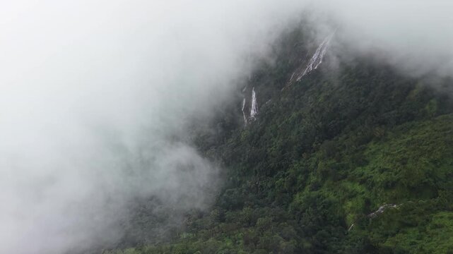 Aerial view of dense forest shrouded in morning mist, with fog weaving through trees and rolling hills. Vibrant green foliage contrasts with soft white clouds