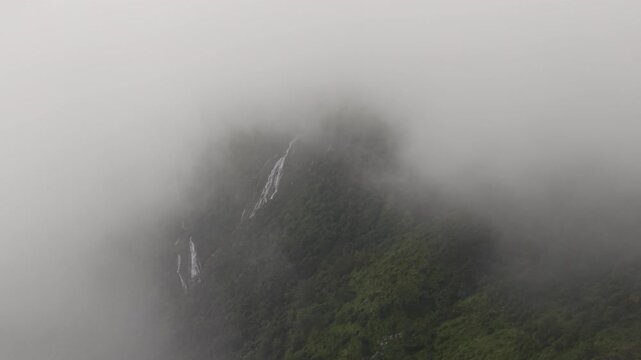 Aerial view of dense forest shrouded in morning mist, with fog weaving through trees and rolling hills. Vibrant green foliage contrasts with soft white clouds
