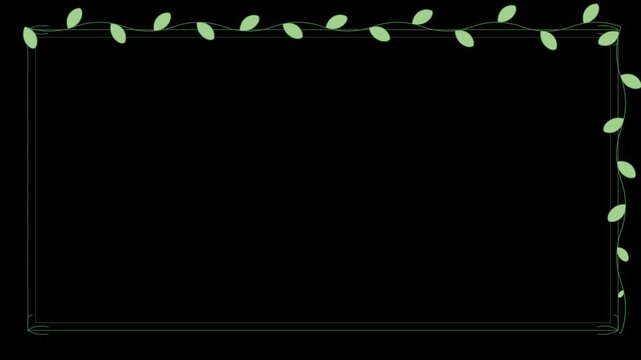 Growing green leaf vine frame on alpha background