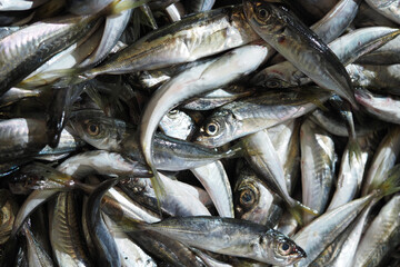 Obraz premium Fresh fish in a market setting