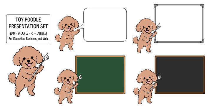 Cute toy poodle character presentation set with speech bubble, blackboard, whiteboard and pointer, copy space collection