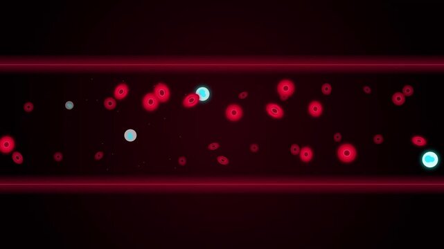 Red and white blood cells flowing through veins