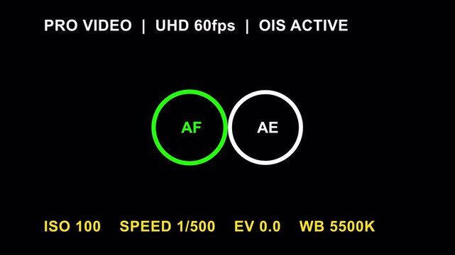 Android Pro Smartphone Camera Video Recording Screen UI Overlay with Split Focus and Exposure Rings Animation 10 Seconds Loop on Alpha Channel 4K