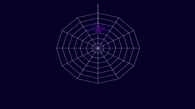 Hanging purple spider on a symmetrical geometric web against a dark background motion graphic loop