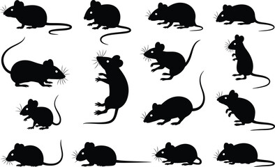 Obraz premium Collection of black mouse silhouettes featuring diverse rodent poses whiskers and long tails isolated on white background vector illustration