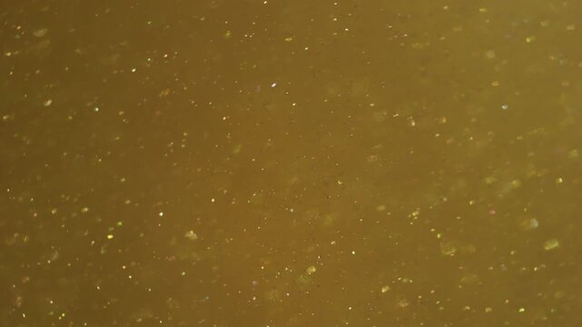 Defocused shine particles. Light glitter dots. Golden yellow circle stream blend glowing powder. Color bokeh luminosity abstract background.