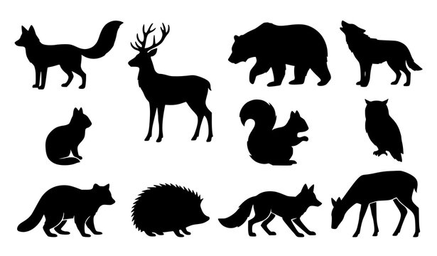 Woodland Wildlife Animal Black Silhouette Collection with Fox Deer Bear Wolf Owl and Forest Animals
