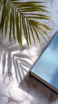 Palm leaf shadows on marble surface with book