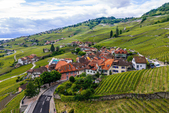 Lavaux vineyard terraces and village by Lake Geneva