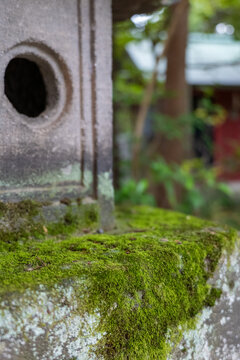Traditional mossy stone lantern in a peaceful Japanese shrine