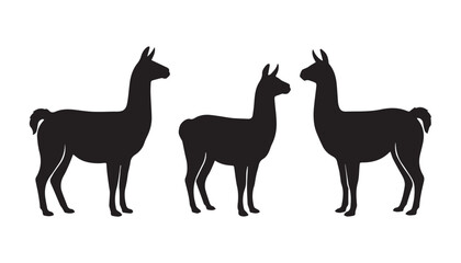 black color silhouette set of three llama vector illustration, solid white background © Potato