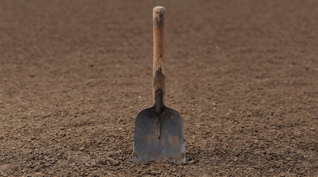 Traditional Agricultural Hoe on Soil