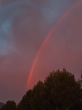 Thin red rainbow glowing beside dark trees beneath blue and pink evening storm clouds.