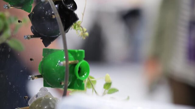 Close-up of green plant in mechanical setup. Water droplets splash around transparent tubes. Blurred background shows indoor exhibition space. No animals or plant species identified