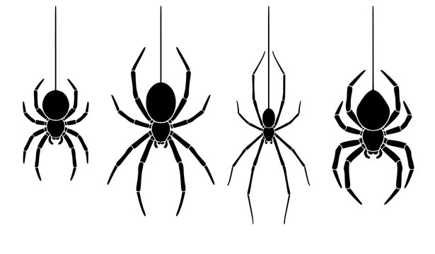 Four Spider Hanging Silhouettes Vector Collection with Different Body Shapes and Leg Structures