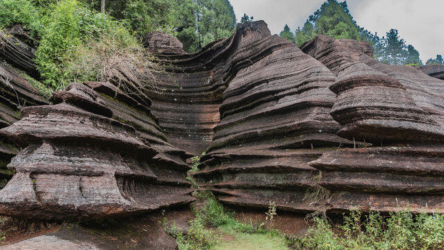 Amazing red-brown karst rocks. Bizarre outlines, undulating slopes with geological layers. Green vegetation. China. Red Stone Forest National Geopark. Hunan Province  