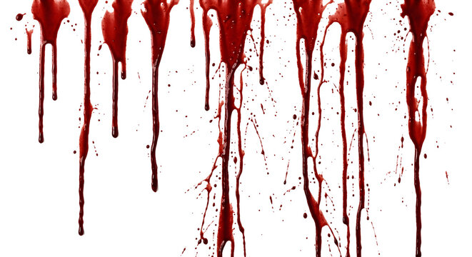 Dripping blood curtain down on transparent background