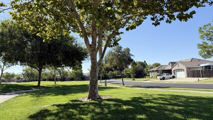 Obraz premium A summer landscape photo of a single-story American ranch neighborhood featuring a shaded sidewalk under lush trees, sunny street, manicured lawns, rooftops, and blue sky. Peaceful suburban vibe.