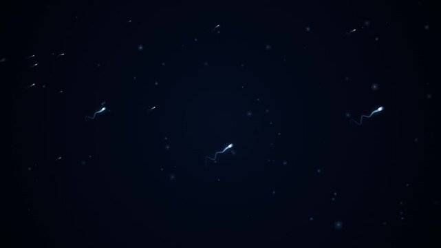 Multiple sperm cells swimming through a dark, starry space, representing the biological process of fertilization