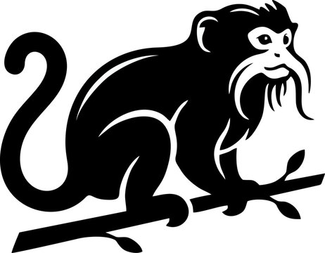 Stylized black and white jungle animals vector graphics featuring a detailed emperor tamarin monkey perched on a tree branch silhouette design