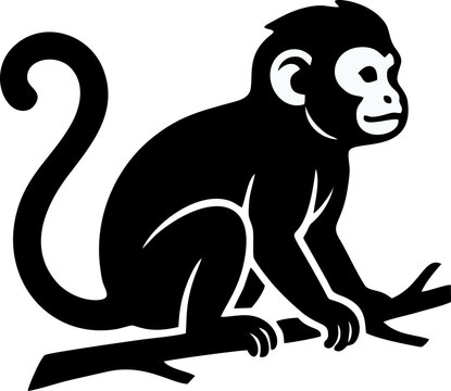 Black and white monkey silhouette sitting on a branch, jungle animals vector graphics illustration for nature and wildlife design projects