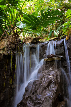 Flowing waterfall cascading over artificial rocks in Phipps Conservatory and Botanical Gardens