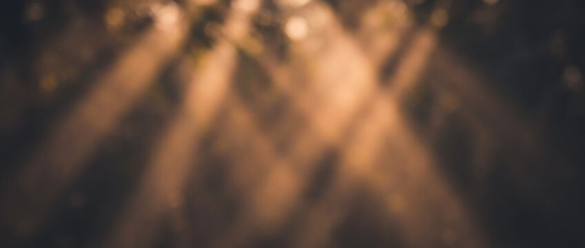 何本もの光条が斜めに重なり合う