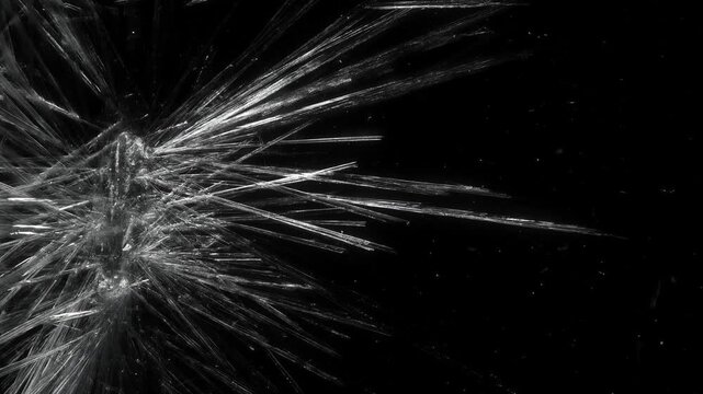 Sodium Acetate Crystals Spreading into a Radiating Fan