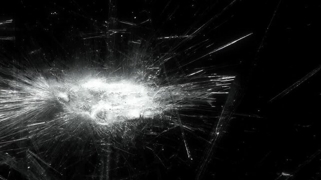 Sodium Acetate Crystals Growing Outward from a Bright Cluster