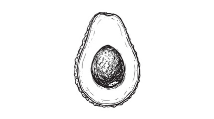 Vintage hand drawn avocado vector, detailed botanical sketch of halved avocado fruit with seed, organic food illustration isolated on White Background © Iram