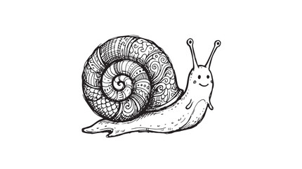 Zentangle snail vector illustration, hand drawn garden gastropod with patterned shell, black and white animal line art isolated on White Background © Iram