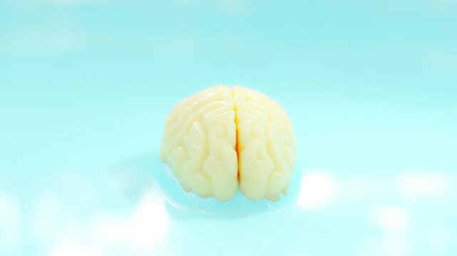 Brain projection emerges from blue background simulating fluid. Can be used in medical elements related Medical and neurological aspects. Minimal idea concept, 3D Render.