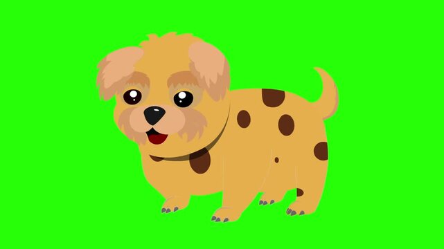 Beige puppy with a brown and tan coat and darker brown spots cartoon dog 4k stock animation video on a green screen background for chroma key background for video editing.