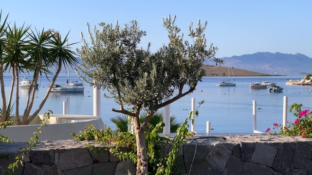A picturesque view of Bitez Bay in Turkey, framed by olive trees and blooming bougainvillea, overlooking calm waters with anchored boats and distant coastal hills.