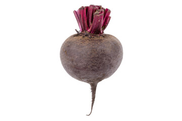 Single raw purple beetroot with vibrant red stalks stands upright on a clean white background, captured with bright studio lighting © Chinases
