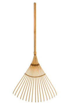 Traditional bamboo rake with a long handle and fanned tines, used for gardening and yard work, isolated on a white background