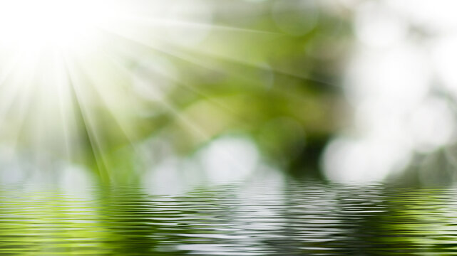 Shimmering water reflects sunlight in a natural setting near greenery