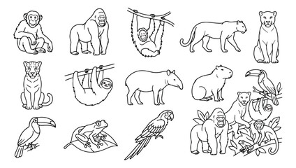 Fototapeta premium Jungle animals line art collection, 14 tropical wildlife vector icons. Minimalist rainforest animal illustrations for coloring and design.